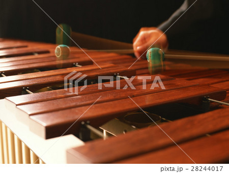 マリンバ演奏 28244017