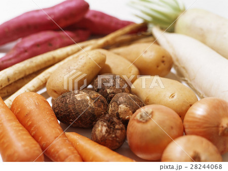 野菜いろいろ 野菜いろいろ 28244068