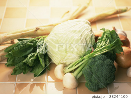 野菜いろいろ 28244100