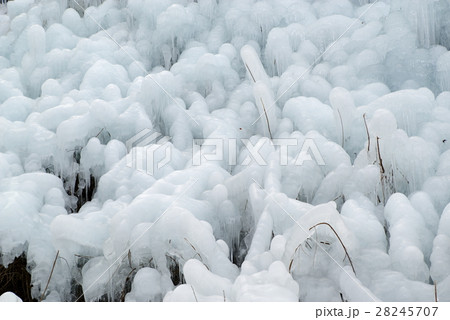 斜面を覆う氷柱 b 斜面を覆う氷柱 b 28245707