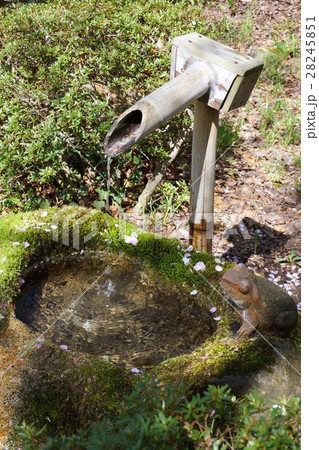 観音堂(世界平和観音)弥勒石仏手水舎 観音堂(世界平和観音)弥勒石仏手水舎 28245851