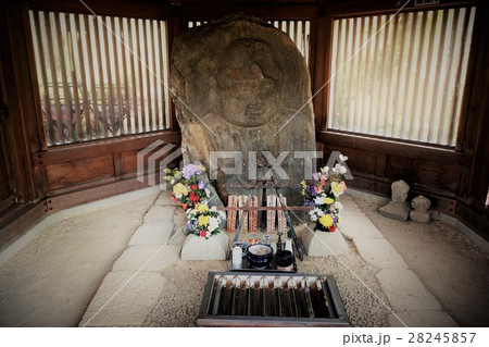 観音堂(世界平和観音)弥勒石仏 観音堂(世界平和観音)弥勒石仏 28245857