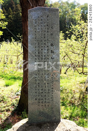 観音堂（世界平和観音）弥勒石仏案内石 28245860