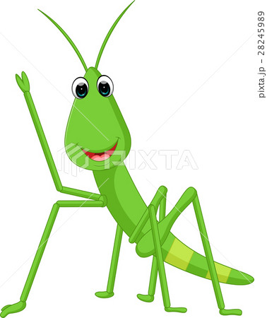 Praying mantis grasshopper cartoon Praying mantis grasshopper cartoon 28245989