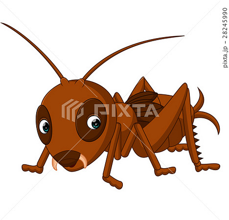 Cute cricket cartoon 28245990