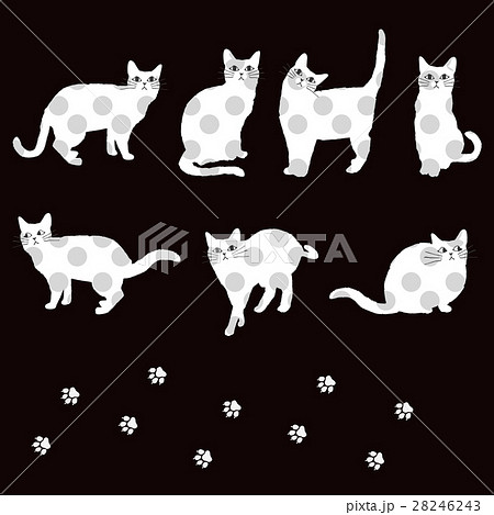 猫のイラストセット 猫のイラストセット 28246243