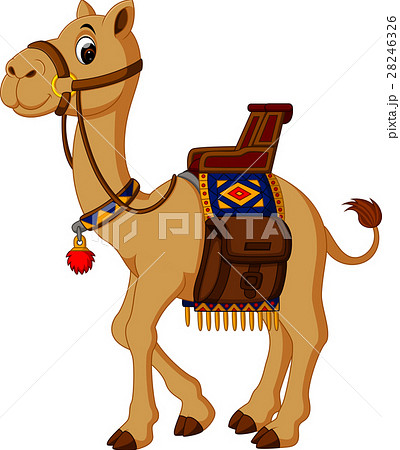 Camel cartoon - Stock Illustration [28246326] - PIXTA