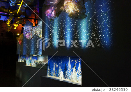 大人水族館 大人水族館 28246550