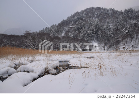 日光湯元湯の平湿原 28247254