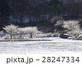 厳冬の覚満淵 28247334