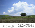 空と大地 28247341