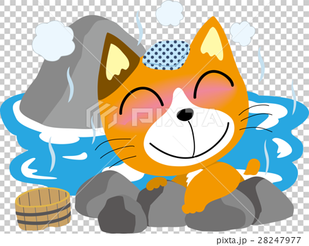 Cat entering a hot spring - Stock Illustration [28247977] - PIXTA
