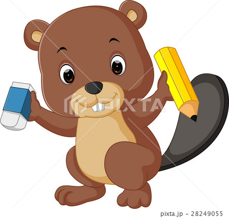 beaver holding pencil beaver holding pencil 28249055