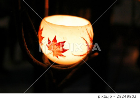 小樽雪あかりの路 28249802