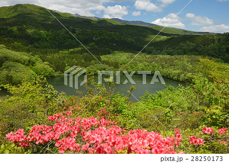 つつじ山公園と女沼 28250173