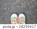 Colorful Sneakers on Gray Asphalt Road 28250417