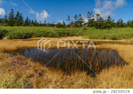 八幡平 - 鹿角市 - 秋田 - 岩手 28250529