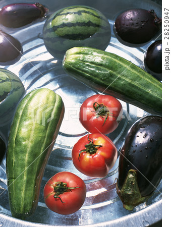 夏野菜 28250947
