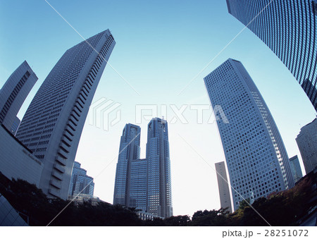 都庁とビル街 28251072