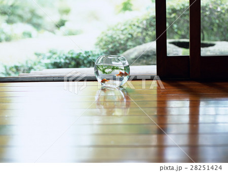 板の間の金魚鉢 28251424