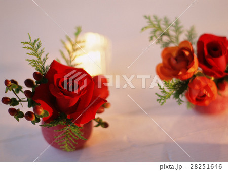 生け花 28251646