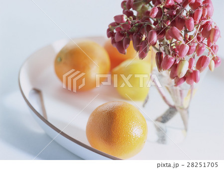 花とオレンジ 28251705