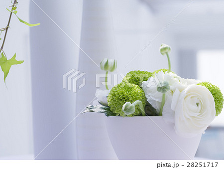 生け花 28251717