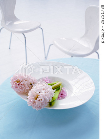 花のあるテーブル 28251788