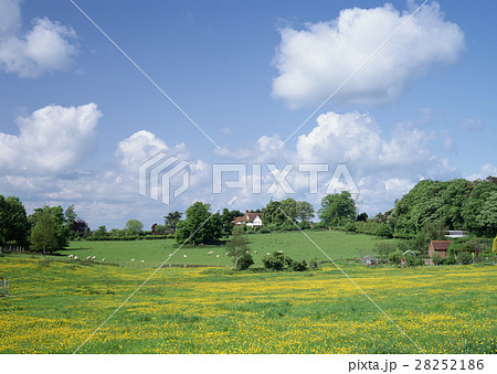 草原と牧草地 28252186