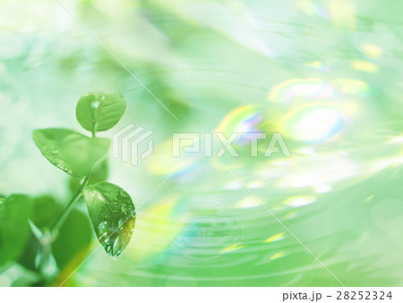 葉と波紋 28252324