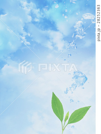 葉と青空 28252363