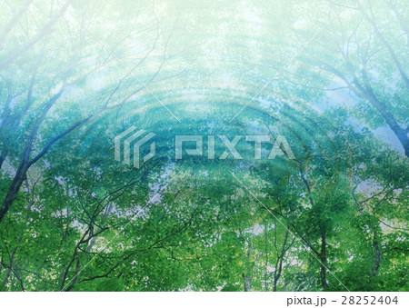 森林と波紋 28252404