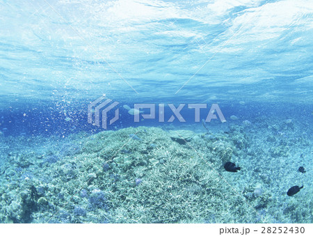 海中 海中 28252430