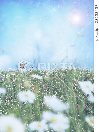 花畑 花畑 28252457