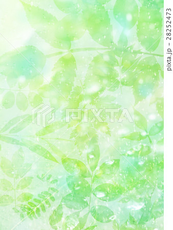 葉と光 28252473