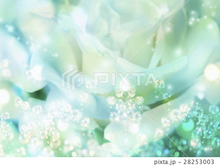 花イメージ(CG) 花イメージ(CG) 28253003