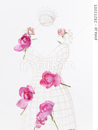 バラとティアラ 28253305