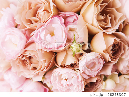 バラ バラ 28253307