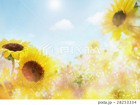 夏イメージ（CG） 28253334