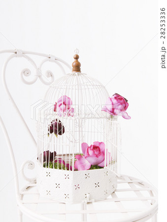 鳥かごとバラ 28253336