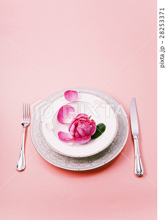 テーブルセッティング テーブルセッティング 28253371