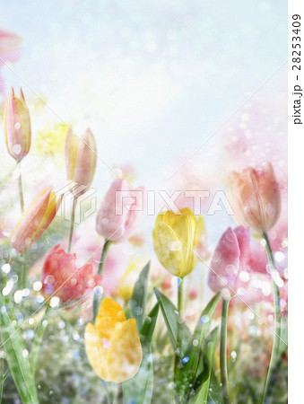 春イメージ（CG） 28253409