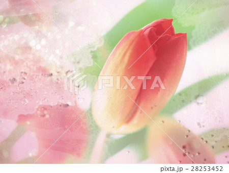 春イメージ(CG) 春イメージ(CG) 28253452