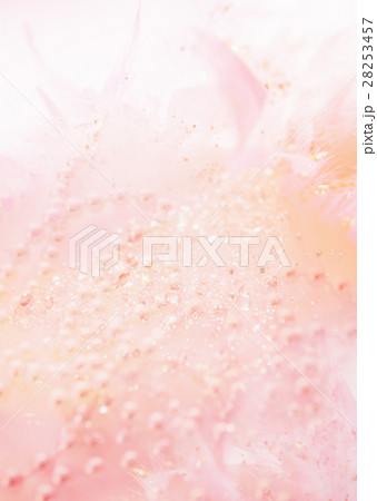 羽根と真珠（CG） 28253457