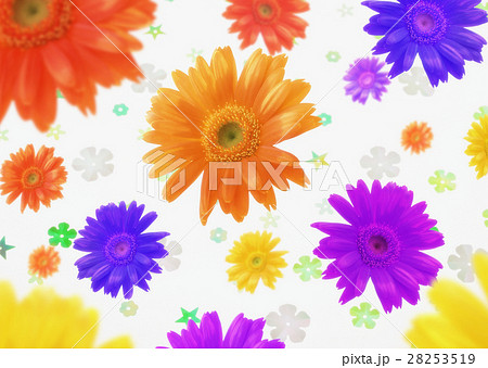 花イメージ（CG） 28253519