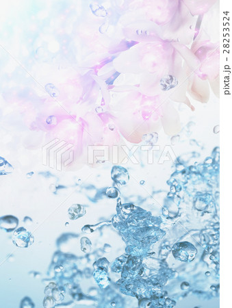 花イメージ（CG） 28253524