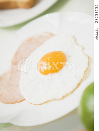 ハムエッグ 28253559