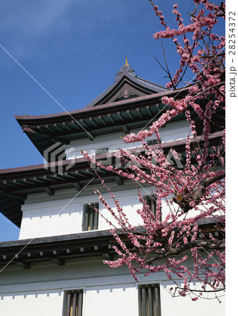 松前城 松前城 28254372