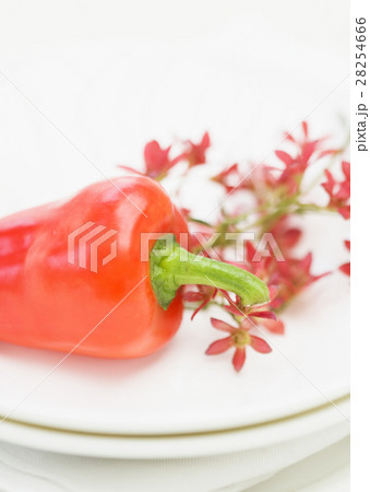 パプリカ 28254666