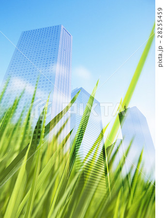 ビル街と草むら ビル街と草むら 28255459